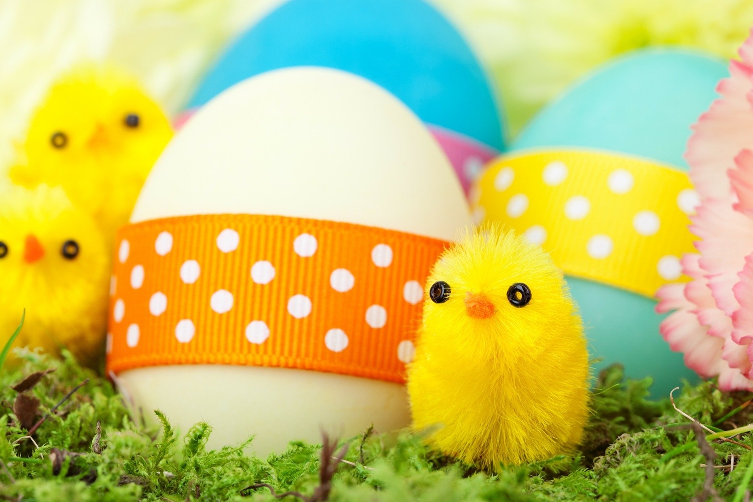 TOP EASTER FAMILY FUN ATTRACTIONS AND EVENTS IN NORTH DEVON!