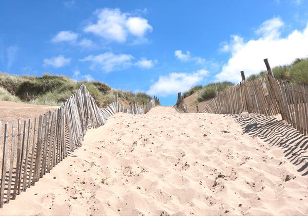 Sand Dune Path