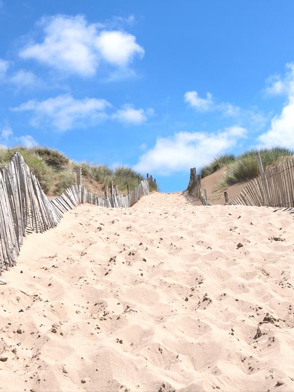 Sand Dune Path