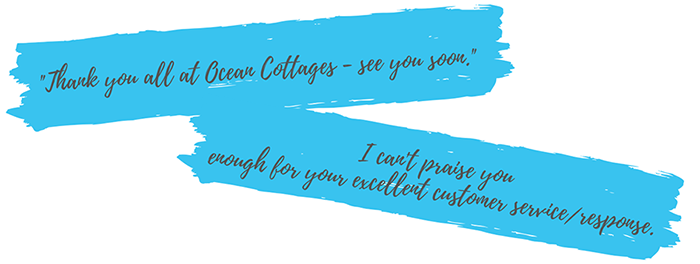 Website Reviews