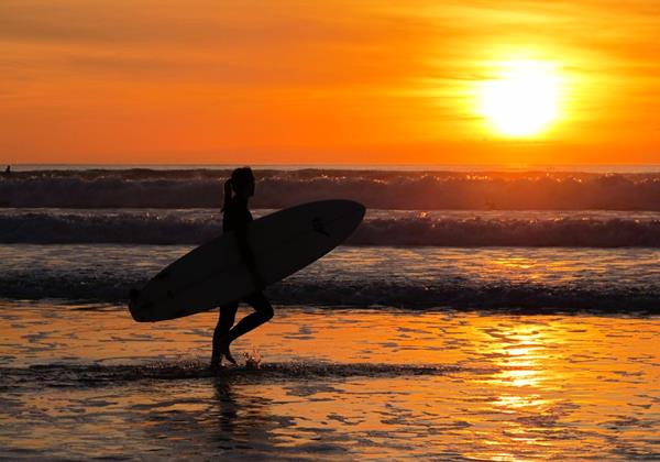 Surfer Waves And Sunset