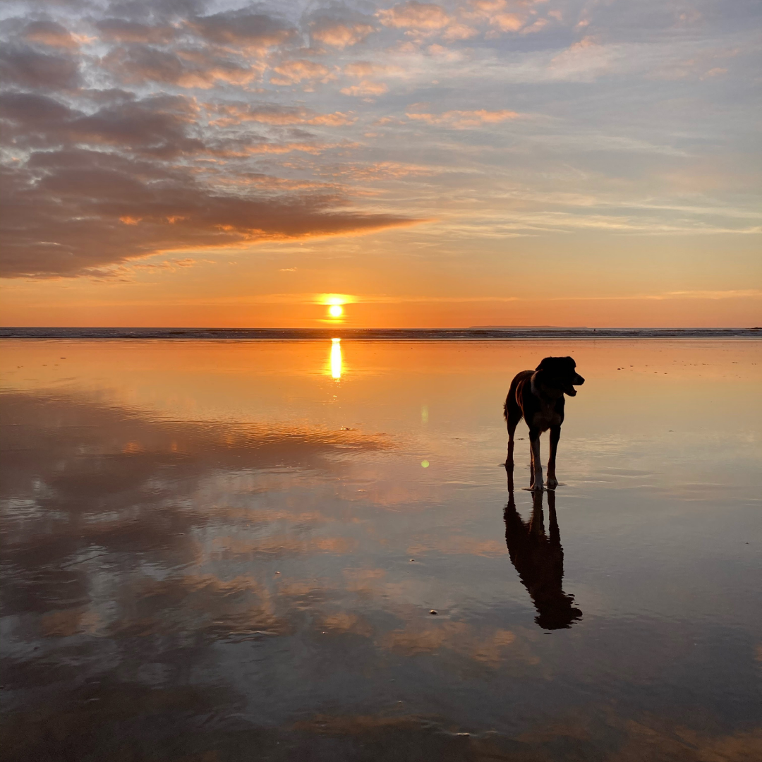 ESCAPE TO NORTH DEVON THIS AUTUMN!