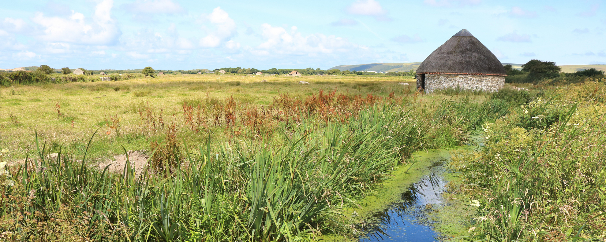 20160714 Beautiful Nature Reserve