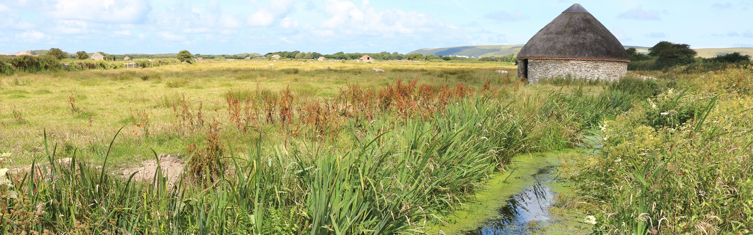 20160714 Beautiful Nature Reserve