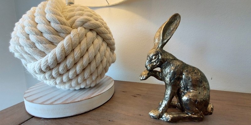 Croyde Holiday Cottages Rabbit Close Up