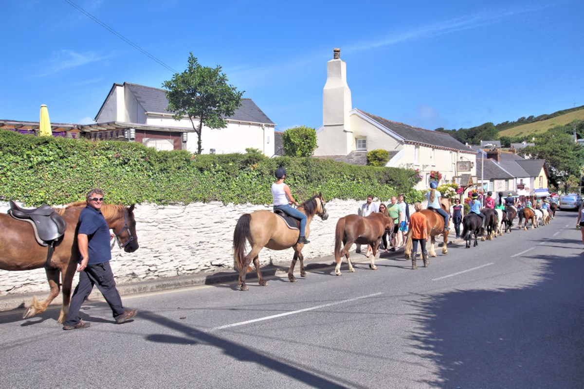 Croyde Holiday Cottages Horses In The Village